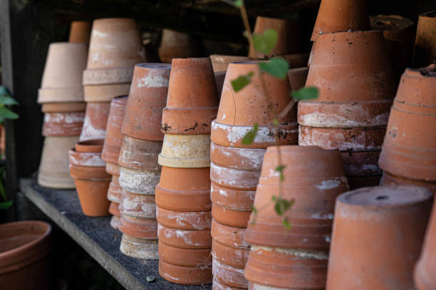 istock The beautiful old Danish greenhouse 1417161753