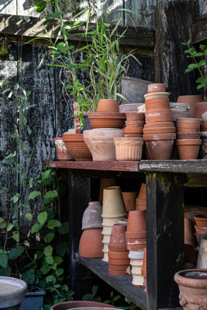 istock The beautiful old Danish greenhouse 1417161786