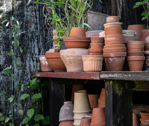 istock The beautiful old Danish greenhouse 1417161798