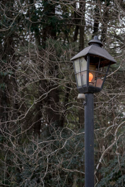 istock Electric lantern to illuminate the garden 1417180233
