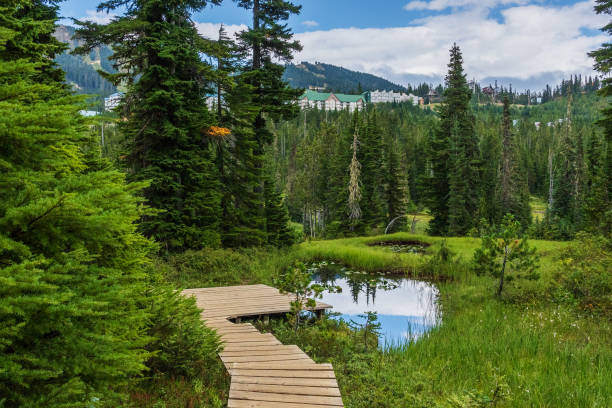 istock Paradise Meadows Strathcona Park Vancouver Island 1417183974