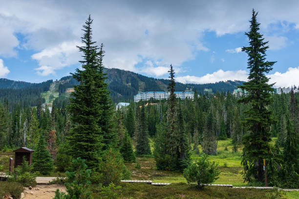 istock Paradise Meadows Strathcona Park Vancouver Island 1417184145