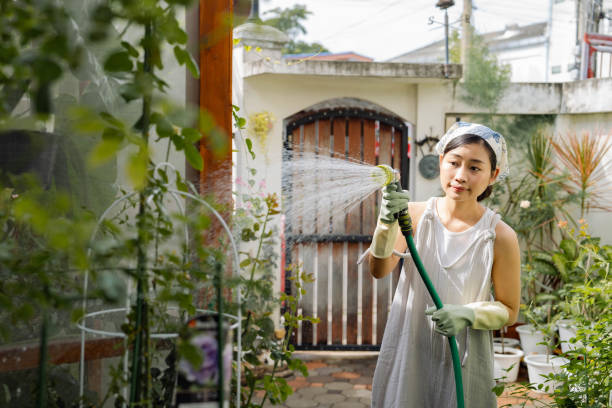 istock Planter watering her plants in the backyard. 1417187372