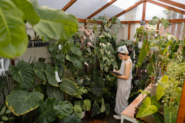 istock Online shop owner checking her ornamental plant. 1417187797