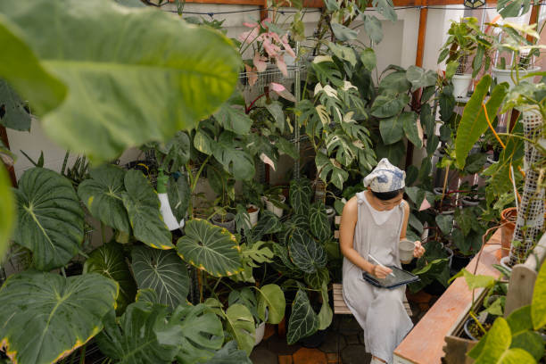 istock Plants vendor using high speed internet to manage her online shop. 1417187827