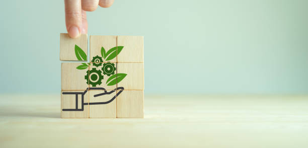 istock Environmental technology concept. Sustainable development goals. Sustainable planet trend and bio-economy to limit climate change and global warming.  Sustainable options for customer. Green business. 1417191895