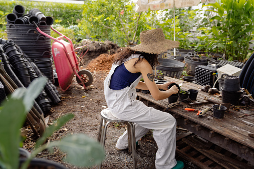 Asian woman transferring vegetable seedlings from plastic pot to tray filled with soil on the wooden table while working in garden.