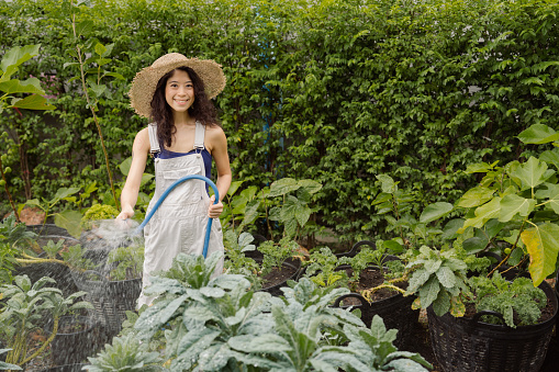 Asian woman enjoying watering vegetable while working in home organic garden.