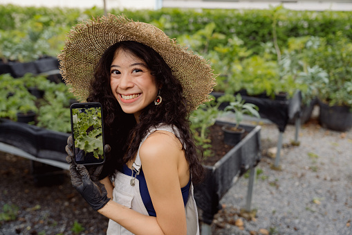 Asian woman using phone taking pictures of her kale while working in home organic garden.