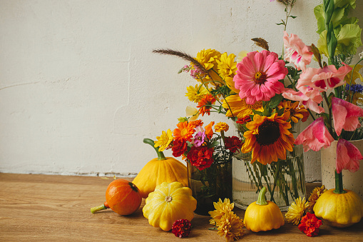 Happy Thanksgiving! Autumn moody still life, atmospheric image. Colorful autumn flowers, pumpkins, pattypan squashes composition against rustic wall. Harvest in countryside. Hello Fall, copy space