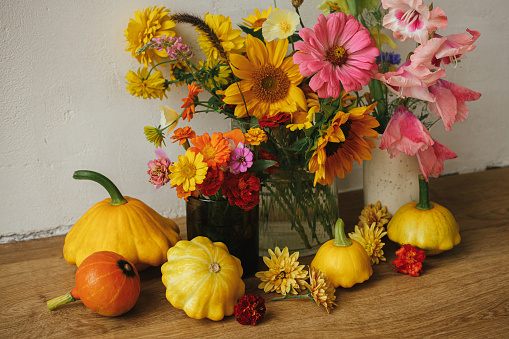 Autumn rustic still life. Colorful autumn flowers, pumpkins, pattypan squashes composition against rustic wall. Harvest in countryside. Happy Thanksgiving! Hello Fall, moody atmospheric image