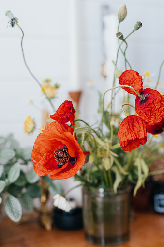 Beautiful poppy flowers on rustic table in sunny room. Gathering and arranging flowers at home in countryside. Red poppy flowers in glass vase