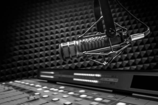 Professional microphone and sound mixer
