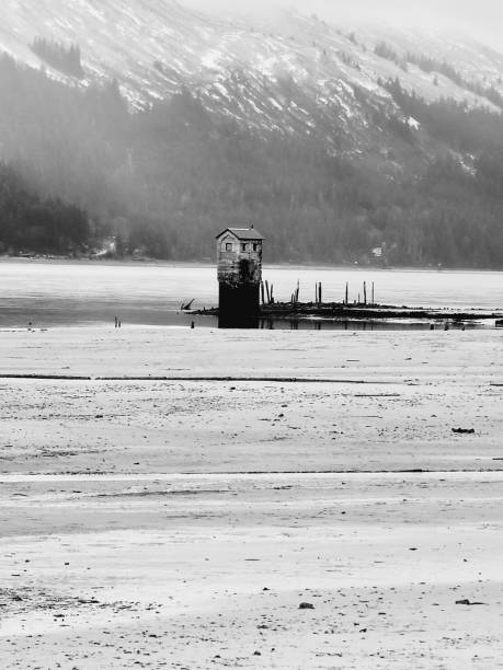 Douglas Alaska This is sandy beach in Douglas Alaska. alaska us state photos stock pictures, royalty-free photos & images