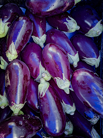 Vertical high angle closeup photo of freshly harvested purple Eggplant on a market stall at a Byron Bay Food Market.