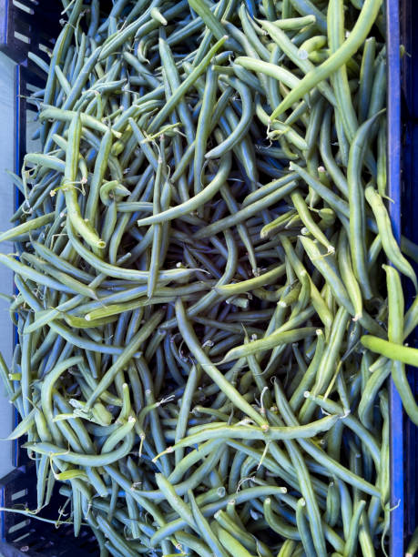 istock Farmer’s Market Vegetables 1417212656