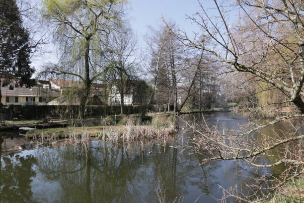 istock Spring in Oberkirch in the Black Forest 1417214199