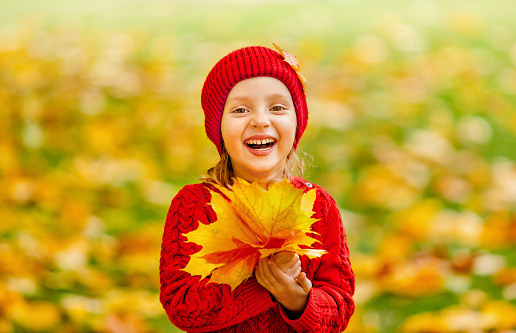 a smiling in red knitted clothes child is having fun with fallen autumn leaves, on a warm autumn day on a walk. The ground is covered with a carpet of yellow foliage