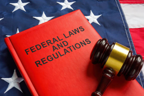 Federal laws and regulations book and gavel on the flag. stock photo