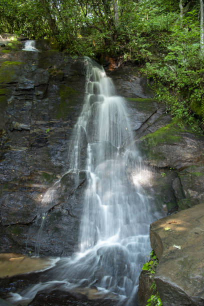 Nikon D750 with Nikon 24-70mm ED VR lens