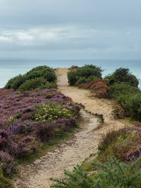 A winding dirt path leads through purple heather to the end of a promontory and the sea’s misty horizon beyond.