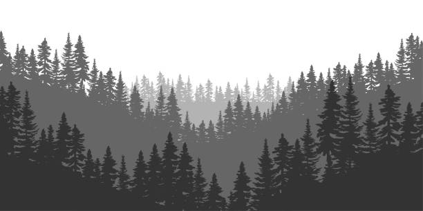 ilustrações, clipart, desenhos animados e ícones de floresta de abetos da montanha. ilustração vetorial. imagem de estoque. - tree silhouette meadow horizon over land