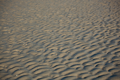 The ocean left marks of the currents on the yellow sand. The sun casts shadows and gives relief volume to linear patterns.