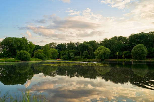 istock Nature landscape with lake and trees on sunset light. 1417286285