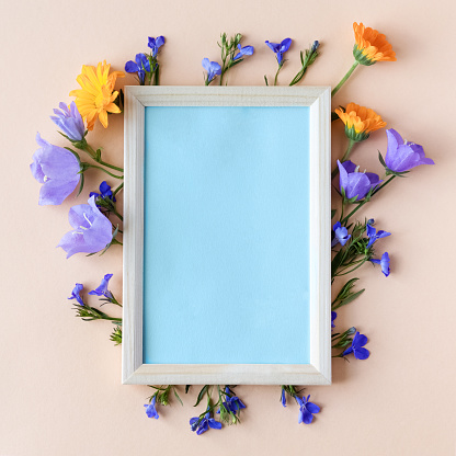 Blue bluebell, lobelia flowers and orange calendula flowers with a blue text frame on an orange background. Summer flat lay