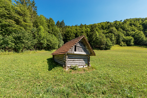 Old traditional wooden barn on a green meadow, Julian Alps, Triglav National Park, Gorenjska, Slovenia, central Europe.