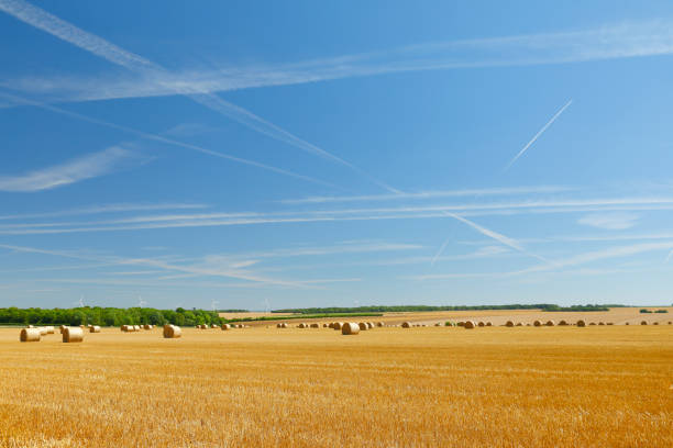 Hay bales in fields in Normandy