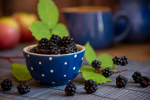 Fresh blackberries on the bush