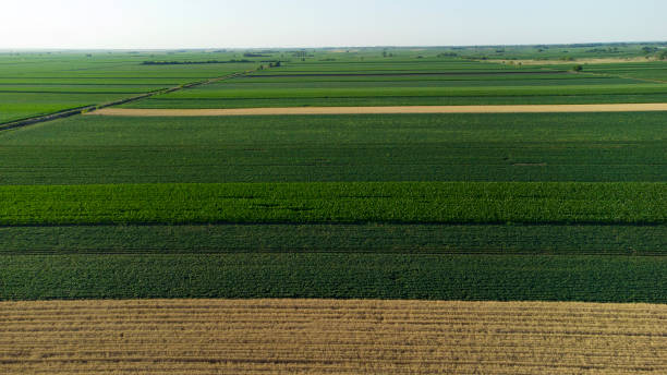 istock agriculture fields in Summer seen from above 1417296736