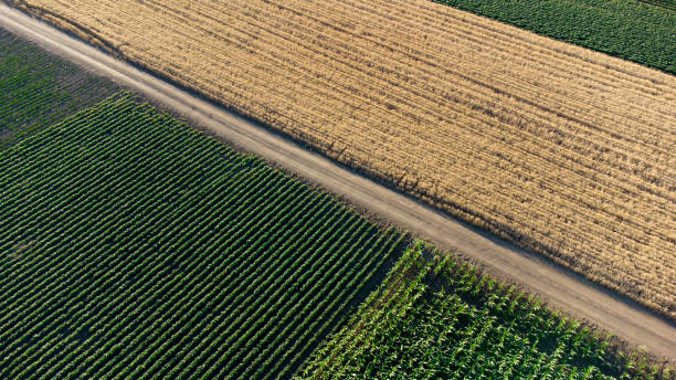 istock agriculture fields in Summer seen from above 1417296745