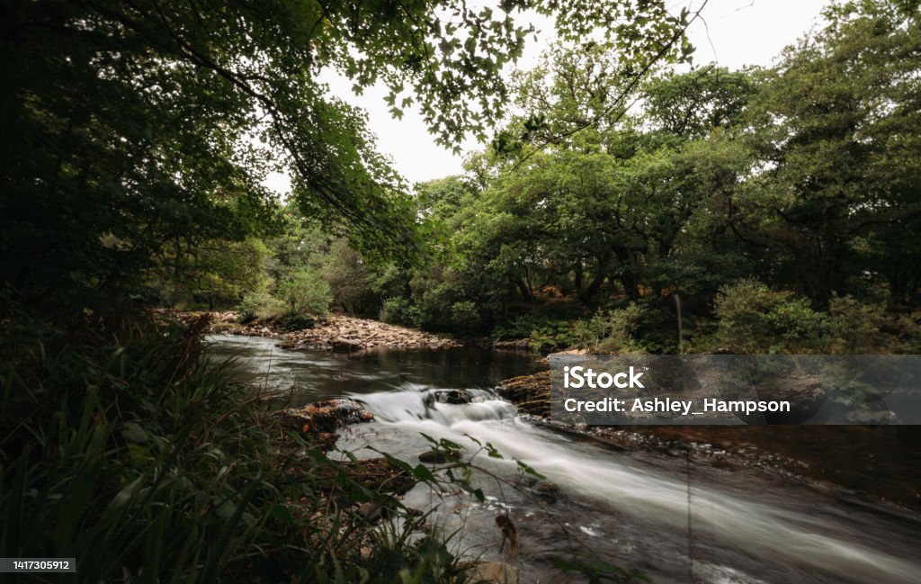 The Dart River Spitchwick Island River Stock Photo