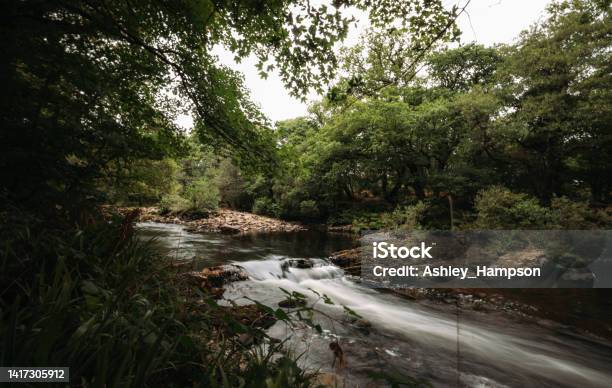 The Dart River Stock Photo - Download Image Now - River, UK, Drought