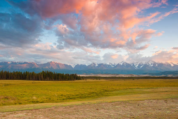 istock Steppe against the backdrop of mountains 1417306457