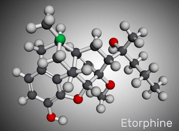 istock Etorphine,  M99 molecule. It is morphinane alkaloid, opioid analgesic, sedative only for veterinary use. Molecular model. 3D rendering 1417319851