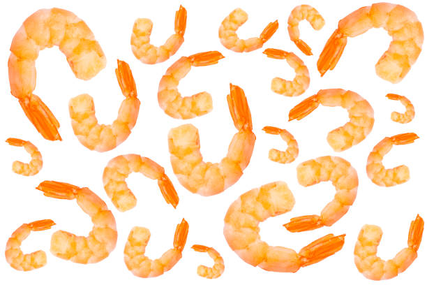 istock Red argentine shrimp isolated on white background. Large tiger shrimp isolated. 1417320377