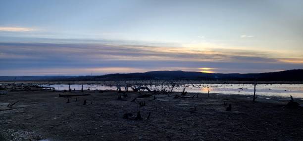 istock Lagoons  and  swamps 1417323258