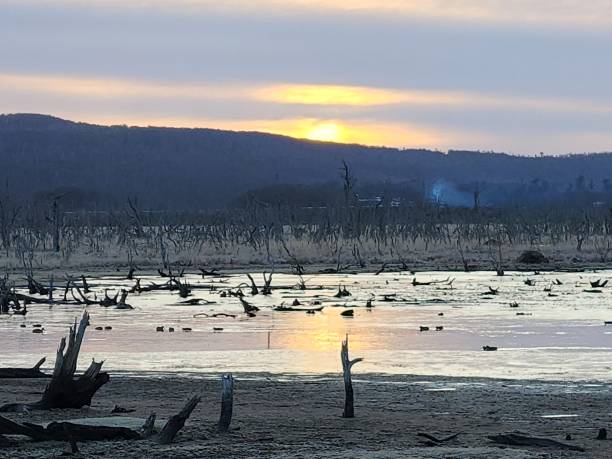 istock Lagoons  and  swamps 1417323363