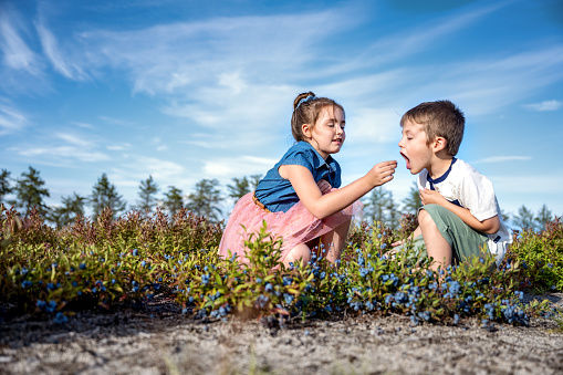 Brother and sister at the blueberry field picking and eating blueberries.