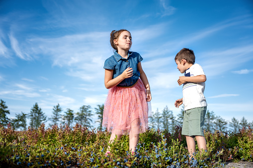 Brother and sister at the blueberry field picking and eating blueberries.