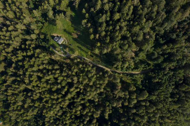 Free Stock Photo of Aerial View of a House Surrounded by Trees ...