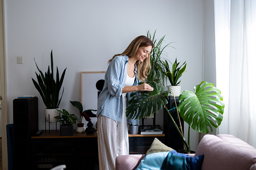 Happy middle aged woman enjoying herself at home while doing some work around the house, watering and cleaning her houseplants