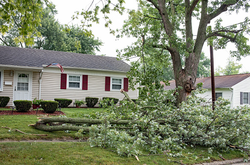 Large oak tree branches blown down in front of house in severe storm in Midwest.