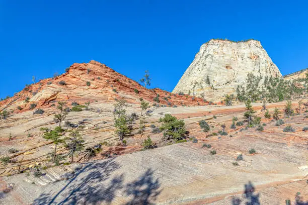 scenic mountain landscape in the zion national park, Utah, USA