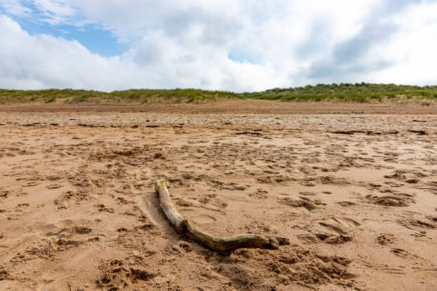 Sand Dunes at Seaton Sluice beach.