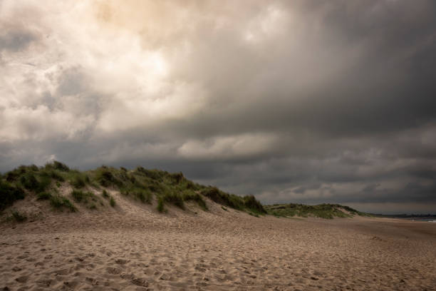 Sand Dunes at Seaton Sluice beach.