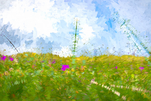 Sand Dunes with wildflowers at Seaton Sluice beach. Heavily post processed to give a painterly effect.